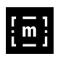 Logo Item